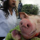 (Photo: JACQUES DEMARTHON/Getty Images)